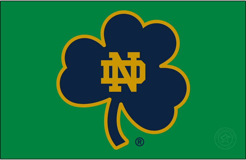 Notre Dame Fighting Irish 2015-Pres Secondary Logo v5 diy DTF decal sticker